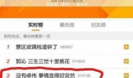 卓伟爆料邓为视频,真相背后引热议