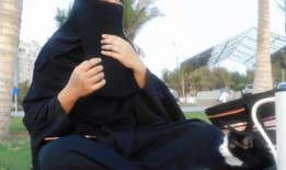 娱乐吃瓜君温婉,温婉背后的故事与真相