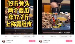 娱乐大爆料封面制作视频,独家幕后故事大公开